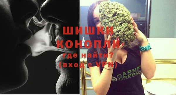 молекула духа Волоколамск
