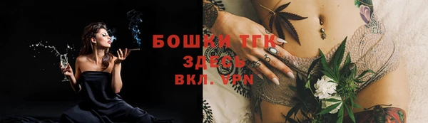 соль ск Верхний Тагил