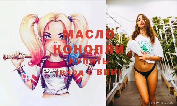 молекула духа Волоколамск
