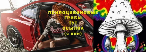 ПСИЛОЦИБИНОВЫЕ ГРИБЫ Сафоново