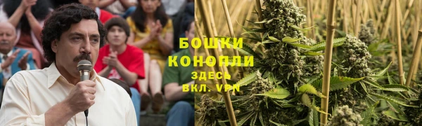 прущий лед Рославль